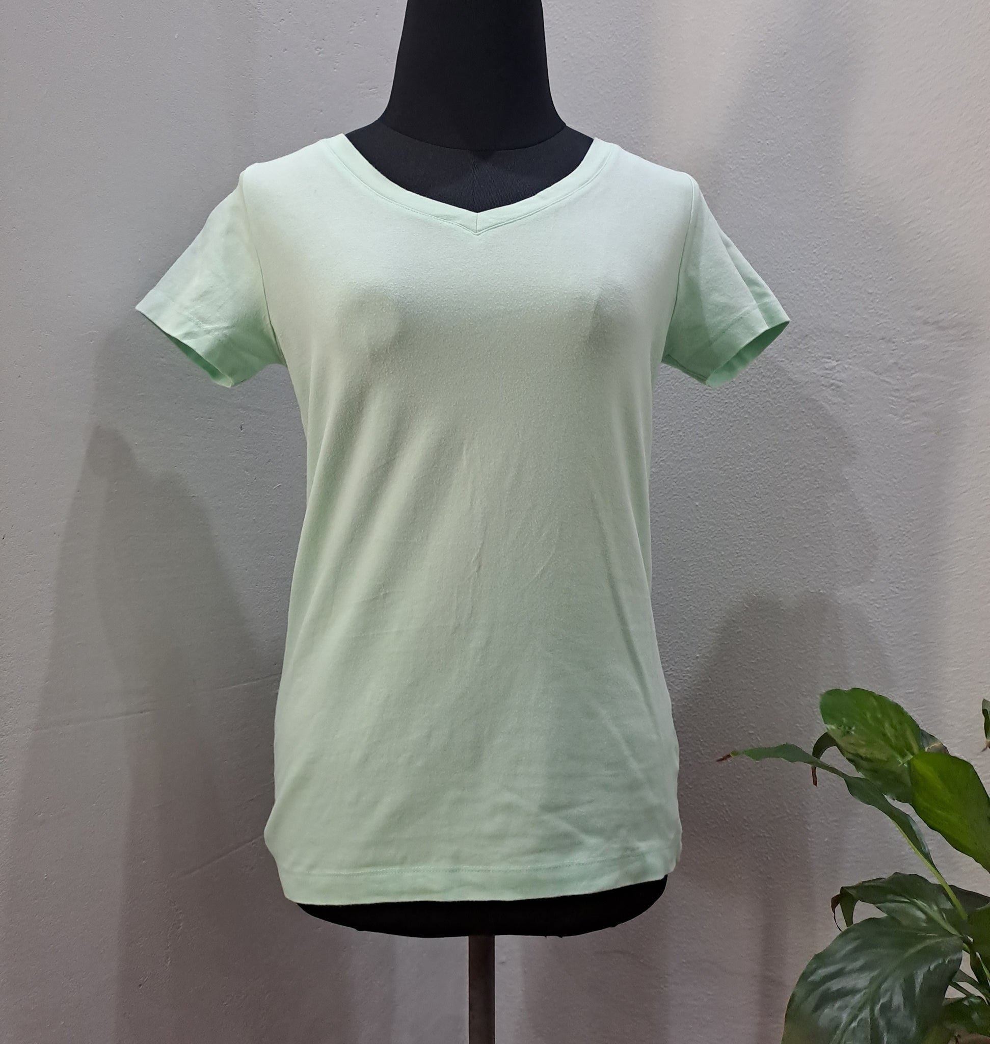 VNeck Basic Tee (Small)