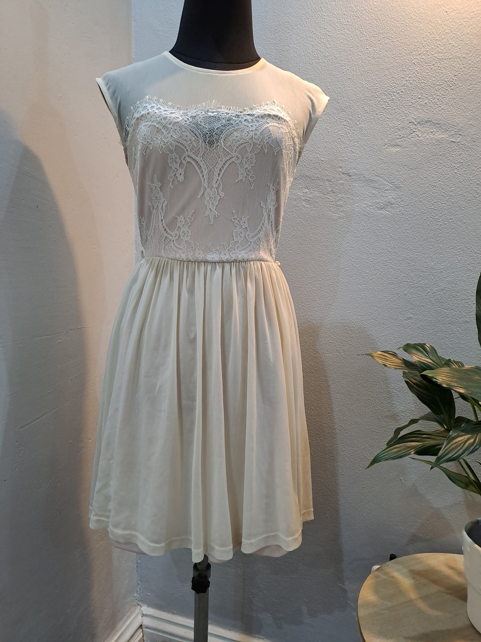 Lace Detail Dress (Small)