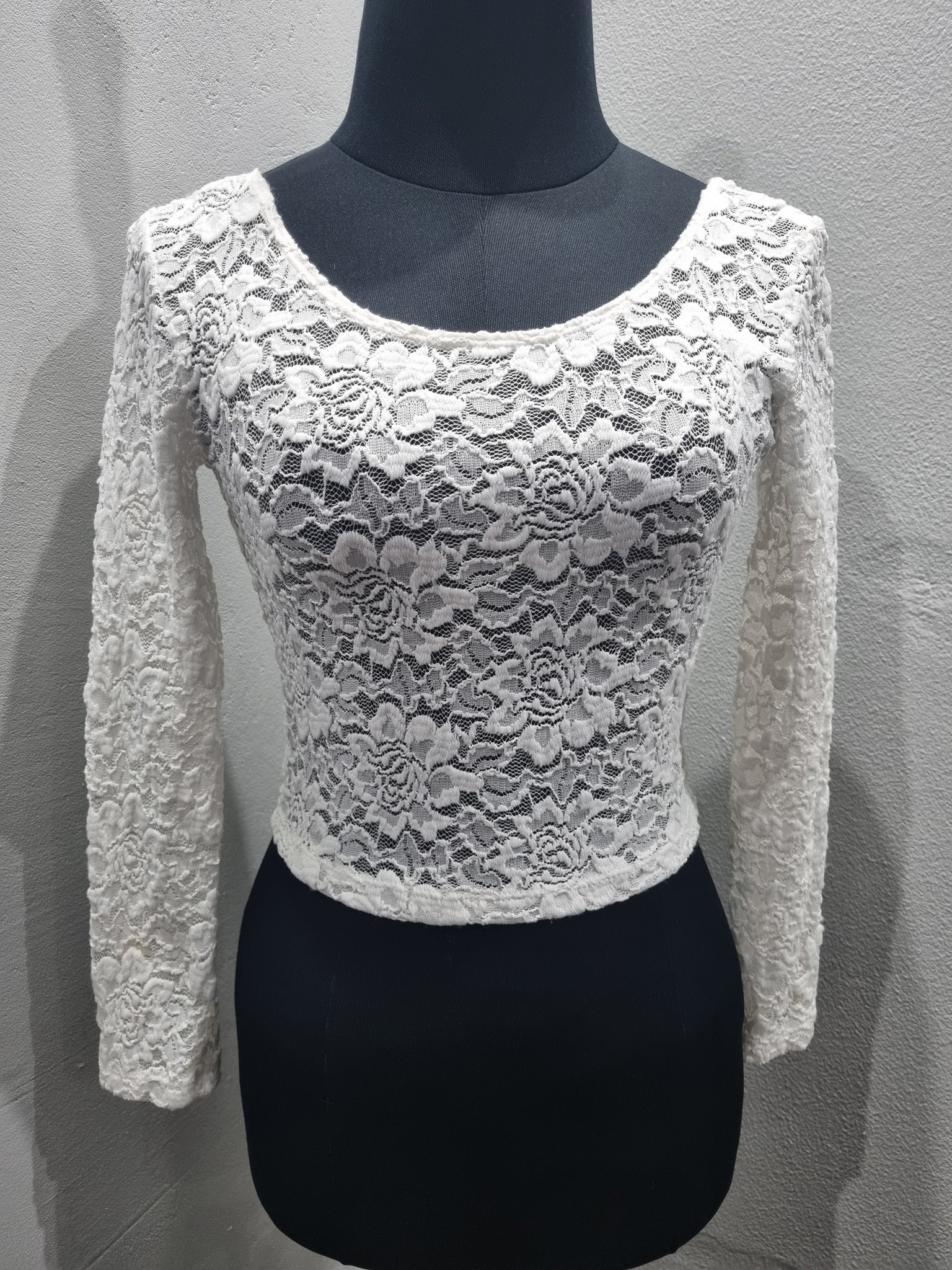 H&M Long Sleeve Lace Crop Top (Small)