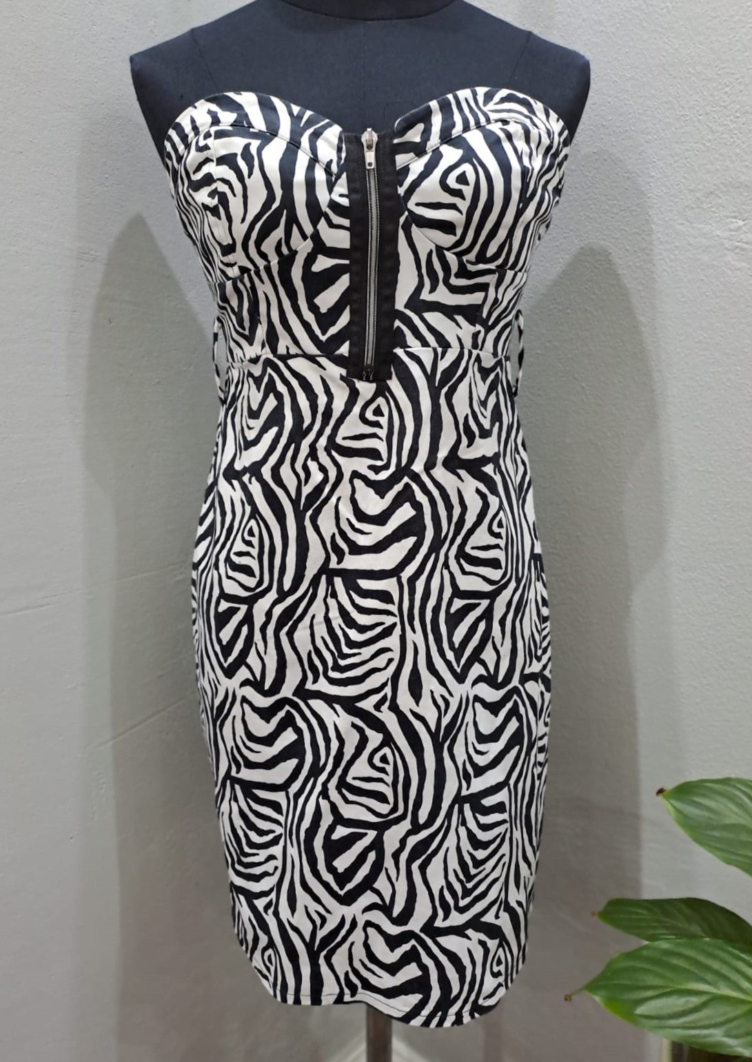 Zebra Print Dress (8/32)