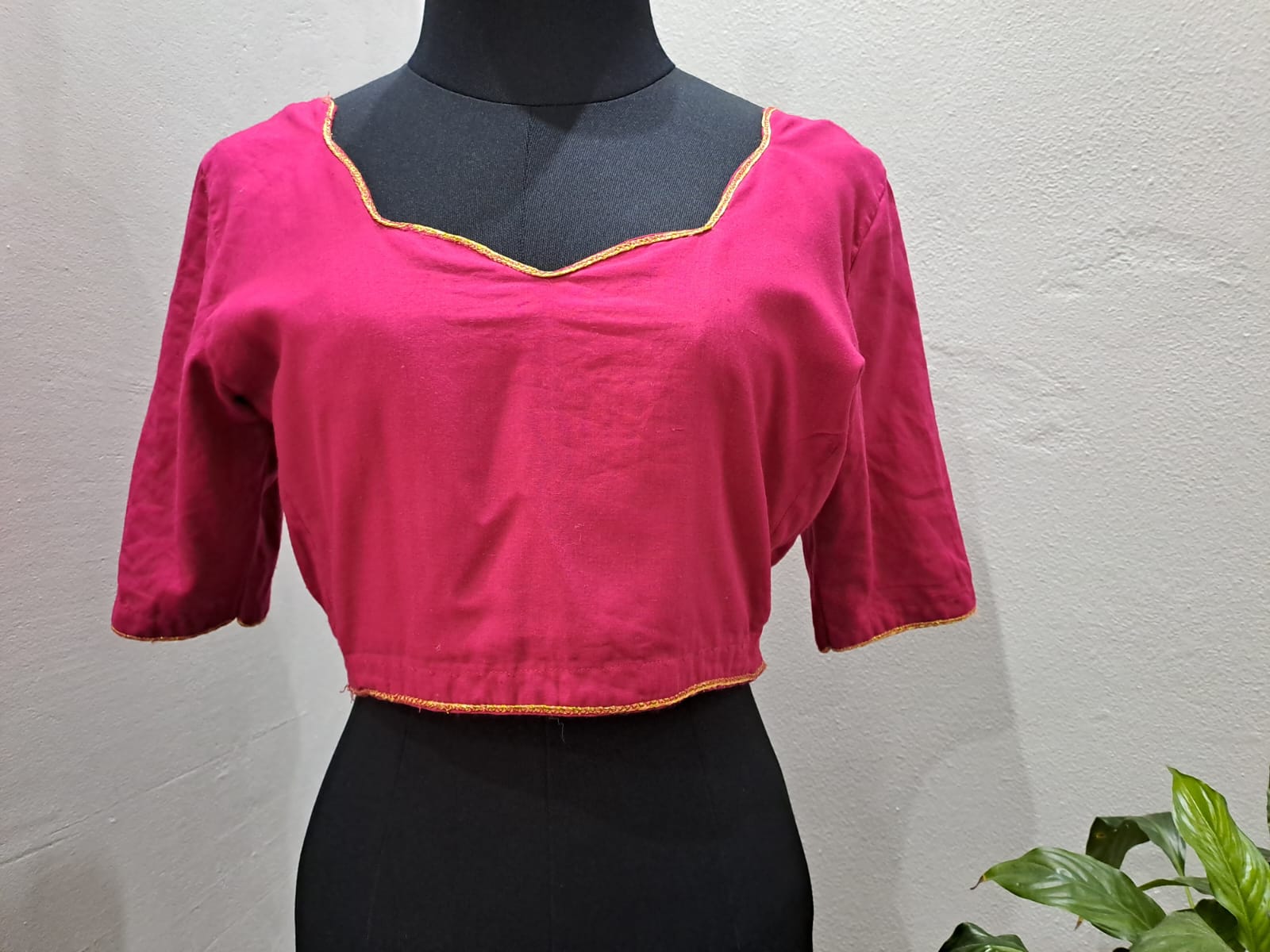 Punjabi Crop (Large)