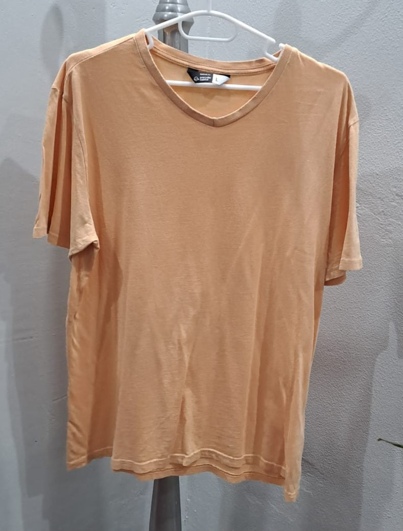 Basic VNeck TShirt (Large)