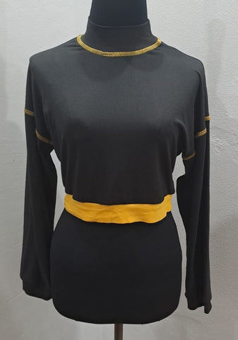 Long Sleeve Crop Top (Small)