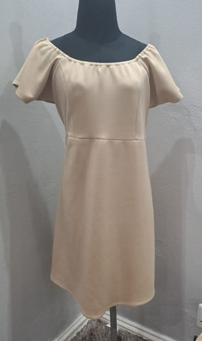 Off Shoulder Dress (Large)