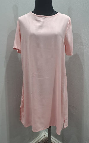 Shift Dress (Small)