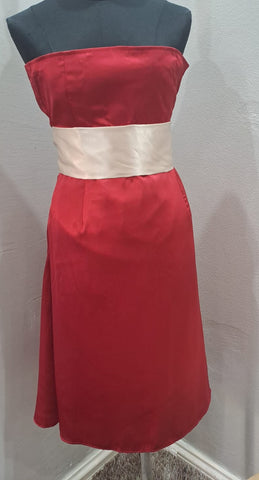 Strapless Occasion Dress (Small)