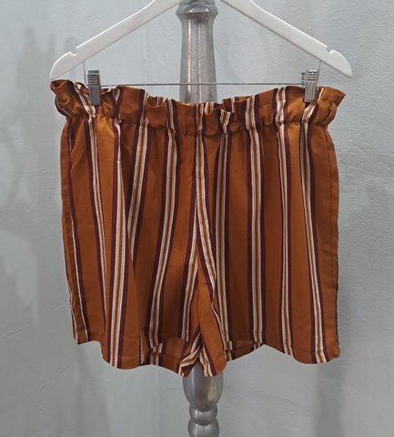 Striped Shorts (XL)