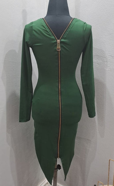 Zip Up Dress (Small)